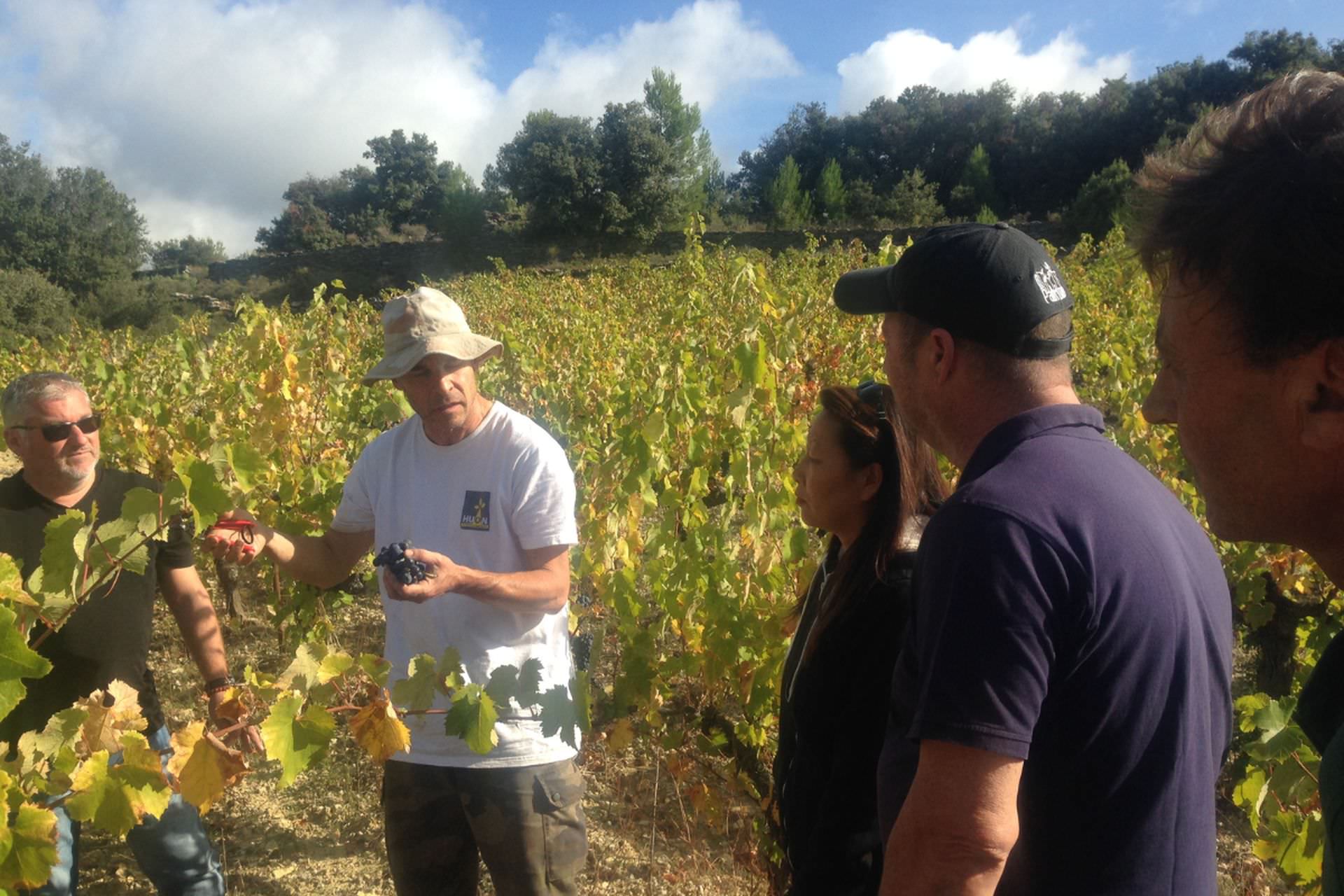 Patrick, le vigneron, explique à un groupe de touristes le savoir-faire de la vendange