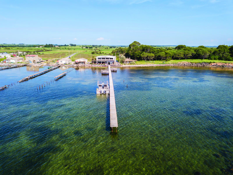 Comptoir de dégustation Saint Barth à Marseillan © Domaine Tarbouriech Vue aérienne sur le comptoir de dégustation Saint Barth à Marseillan au bord de l'étang de Thau