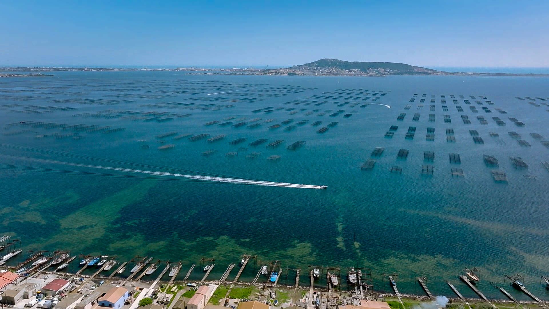 Vue aérienne sur l'étang de Thau, Sète et le mont Saint-Clair, les mas conchylicoles et les parcs à huîtres