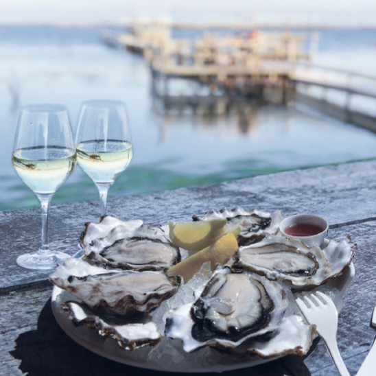 Assiette d'huîtres au comptoir de dégustation Saint Barth © Domaine Tarbouriech Assiette d'huîtres et vin blanc au comptoir de dégustation Saint Barth à Marseillan au bord de l'étang de Thau