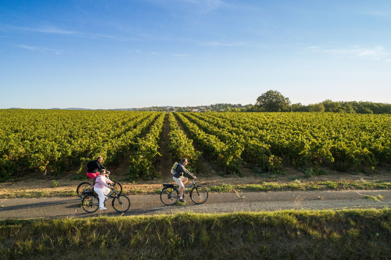 Trois amis en balade à vélo à travers vignes près de Puissalicon