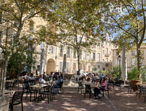 Sous les platanes de la place Saint Roch, des personnes sont attablées sous les rayons de soleil.