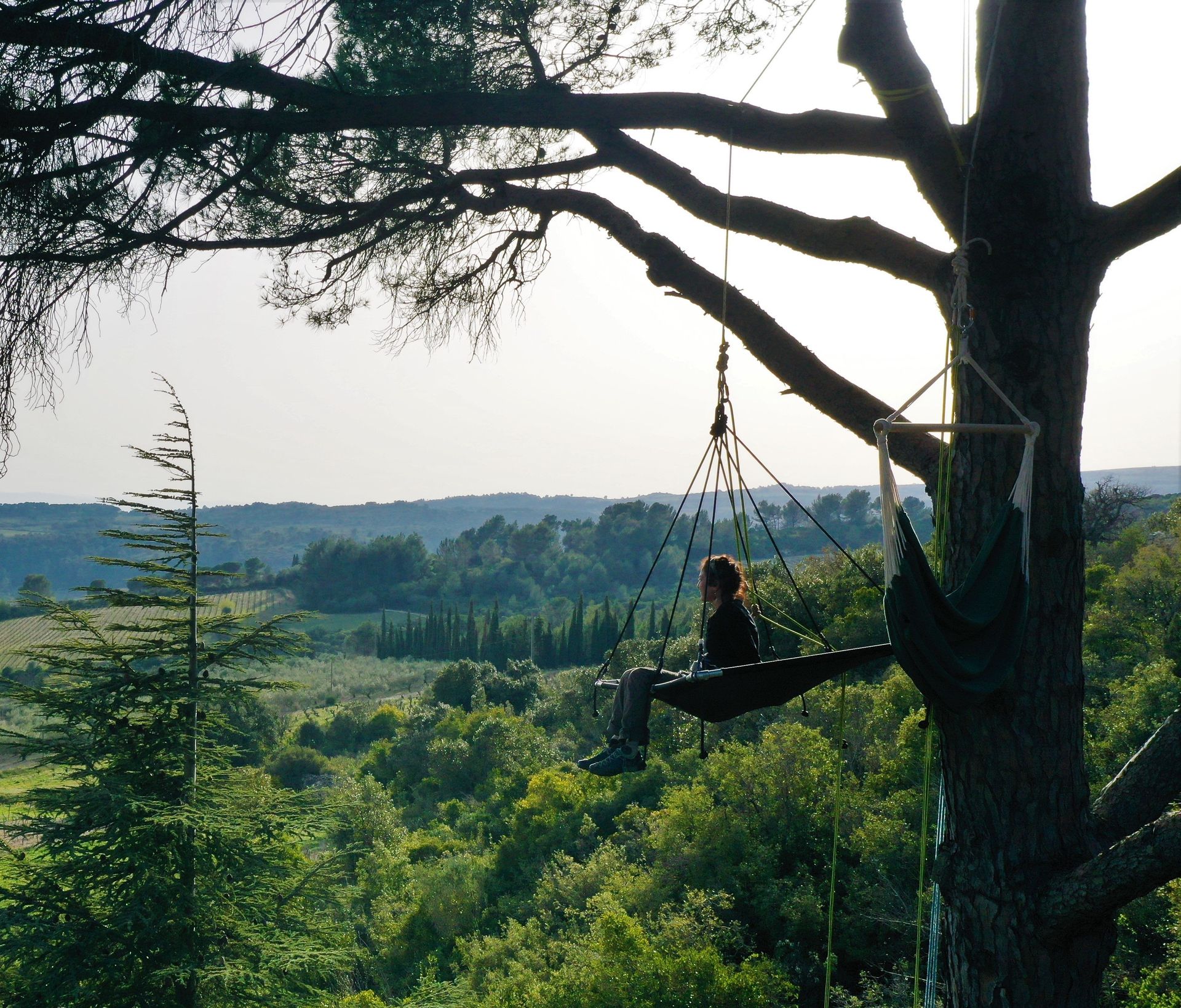 Une jeune fille est installée dans un hamac à la cime d'un arbre et regarde l'horizon, les vignes, les oliviers du Minervois