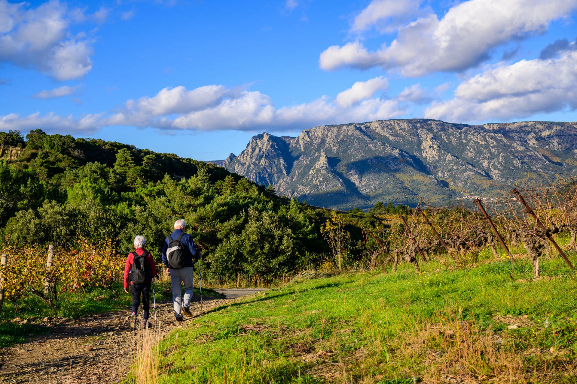 Couple de randonneurs dans le Vignoble de Berlou