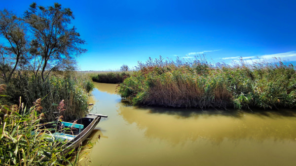 Etang de Vendres © E.Brendle