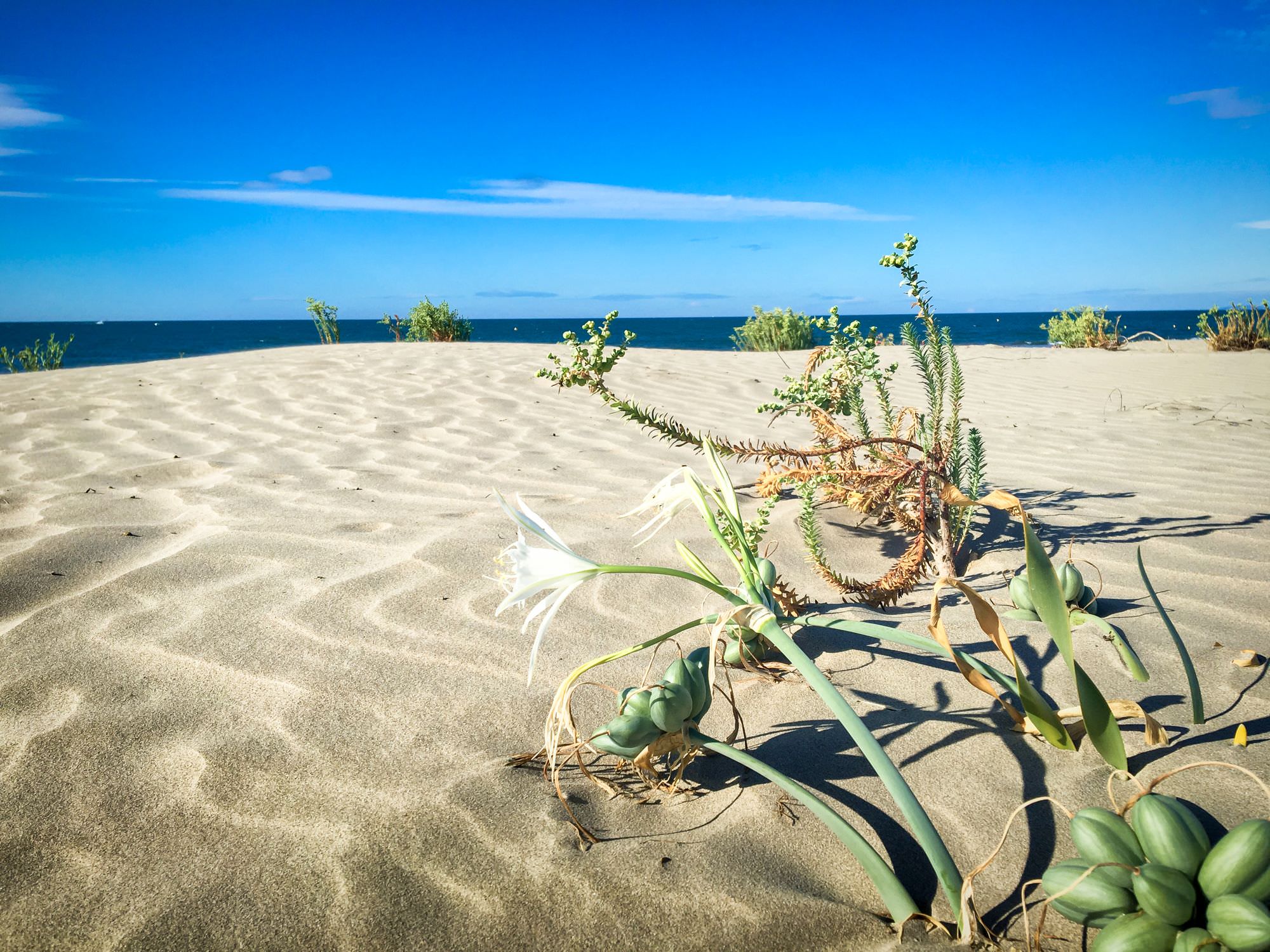 Plage du Grand Travers © Sabrina Lucchese