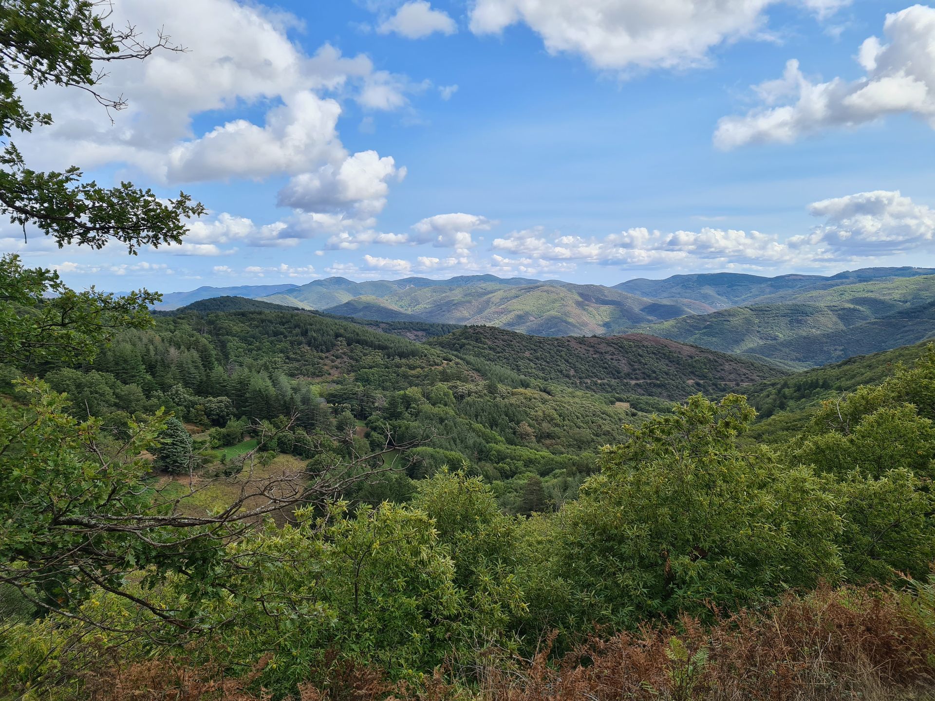 Panorama sur la montagne du Haut-Languedoc