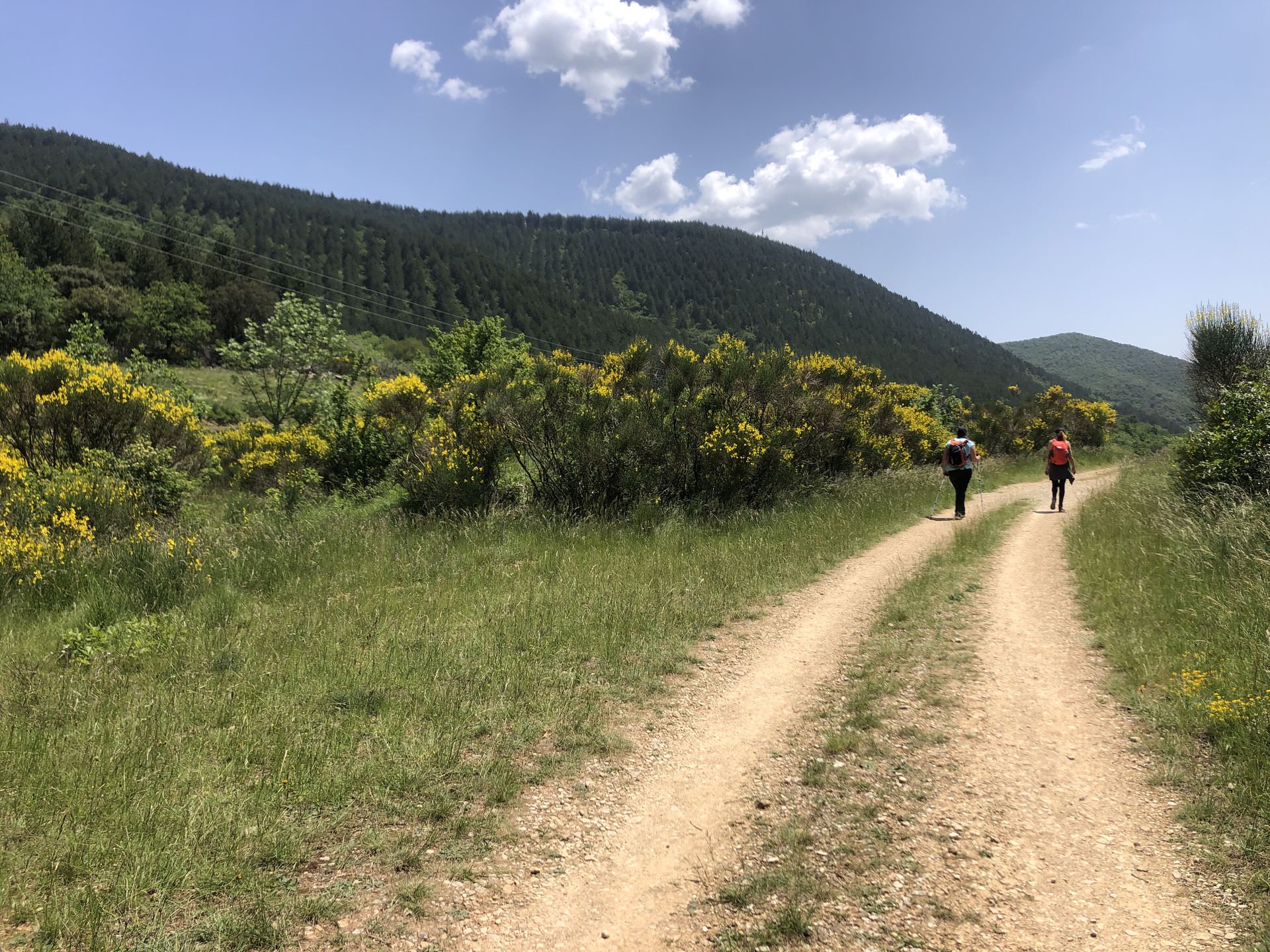 Deux amies randonnent dans les Monts d'Orb sur le GRP Entre Deux Lacs Avène-Salagou