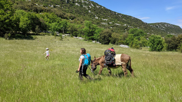Une jeune femme se promène dans une prairie sac à dos avec un âne équipé pour faire de l'itinérance