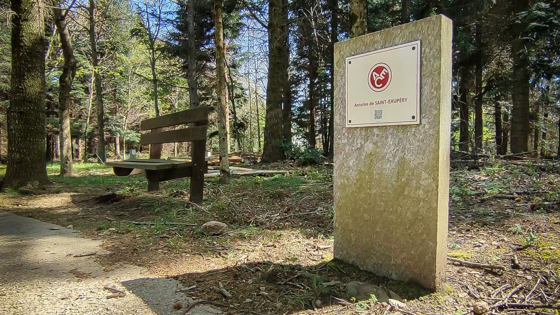 Stèle dans la forêt domaniale des Ecrivains Combattants à Combes