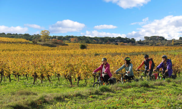 Vélo dans le vignoble sur l'Oenovélo® Saint Chinian au Canal du Midi