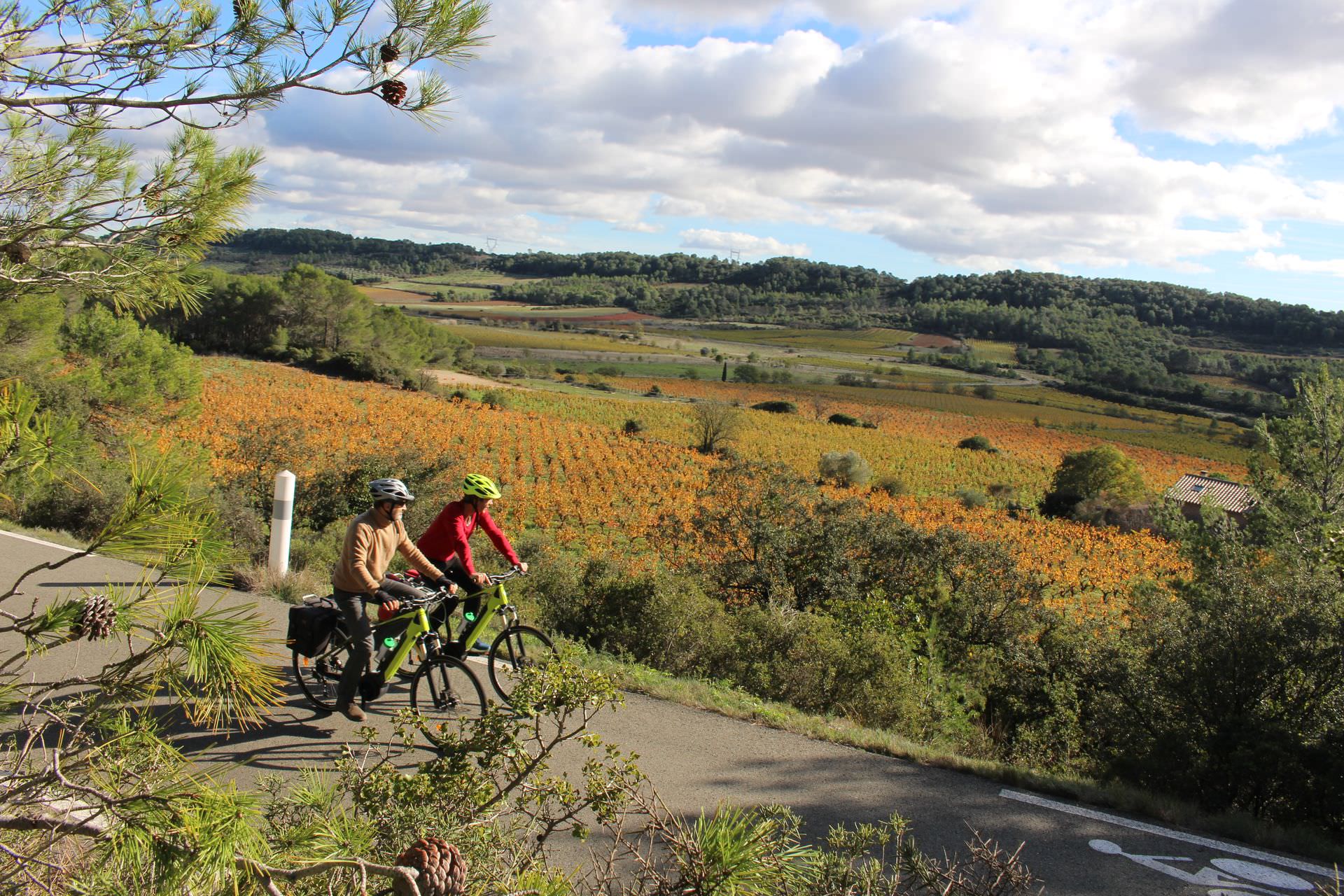 A vélo à Villespassans sur l'Oenovélo® St Chinian au canal du Midi © Stéphanie Durand-Keller A vélo à Villespassans sur l'Oenovélo® St Chinian au canal du Midi