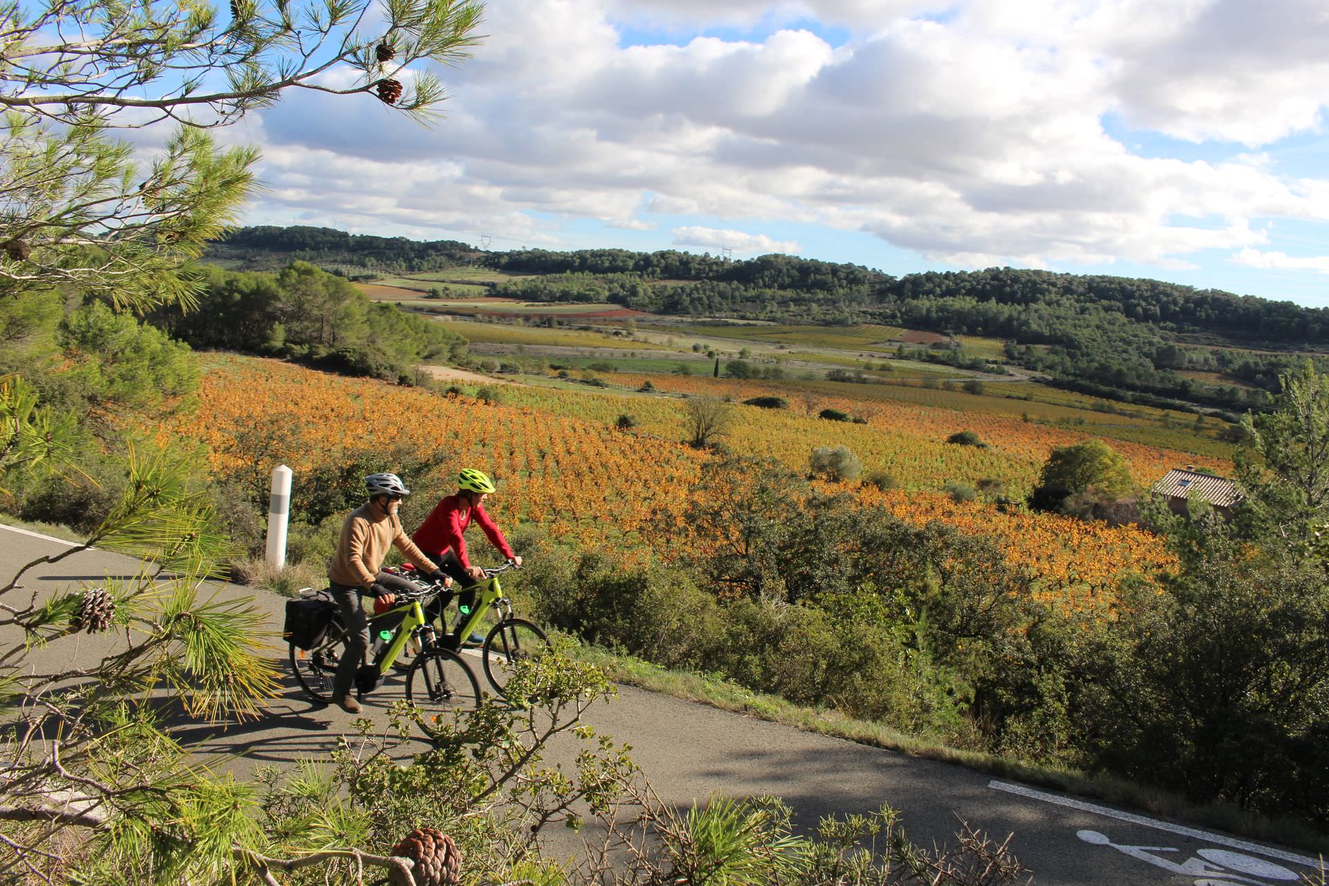 A vélo à Villespassans sur l'Oenovélo® St Chinian au canal du Midi