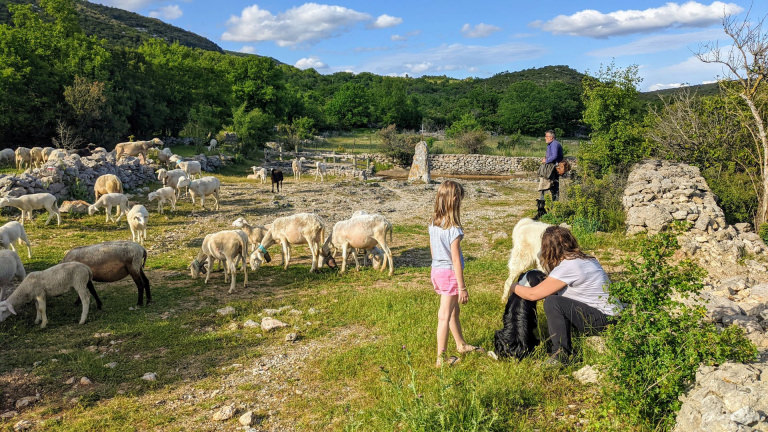 Rando en famille avec un âne dans la Buèges - rencontre avec le berger © Gilles Delerue - ADT 34