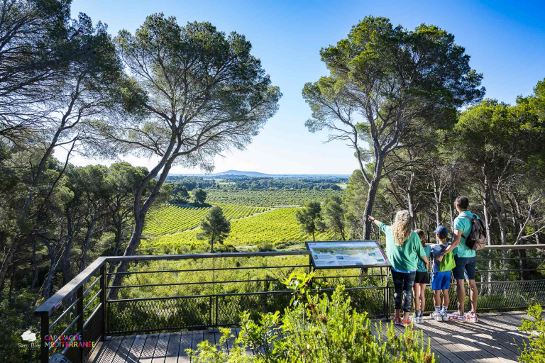 Famille en randonnée au Parc départemental de Bessilles