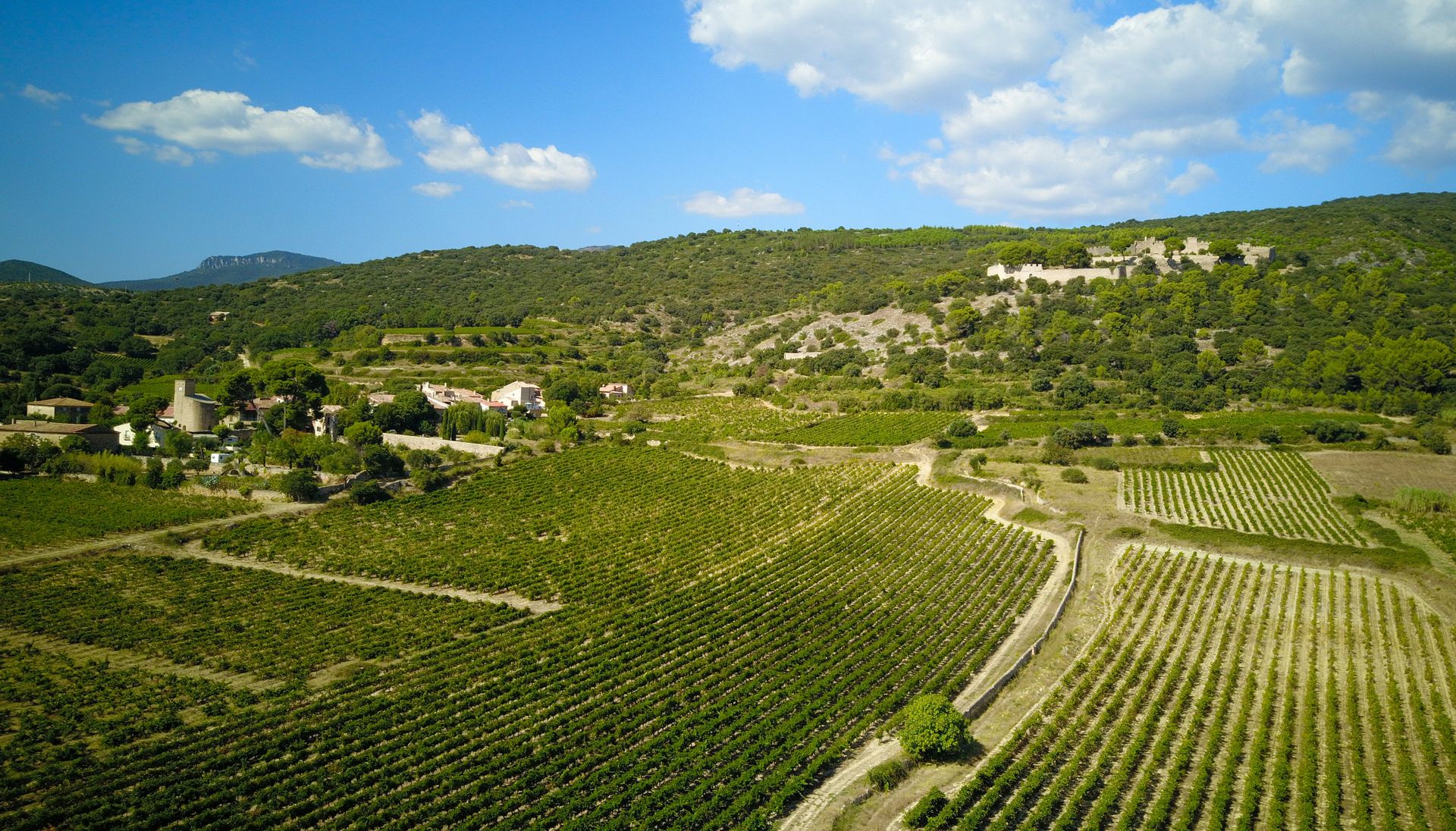 Vignoble et Castellas de Montpeyroux © Eric Brendle Vue aérienne sur le vignoble et le castellas de Montpeyroux