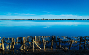 Vue sur l'étang du Méjean, avec en second plan le phare de Palavas-Les-Flots