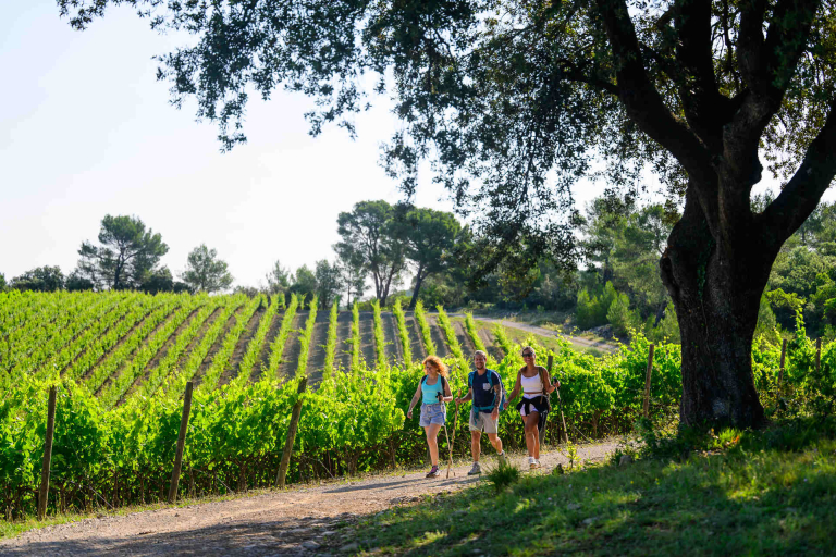 Balade dans les vignes au domaine de la Bergerie du Fenouillet
