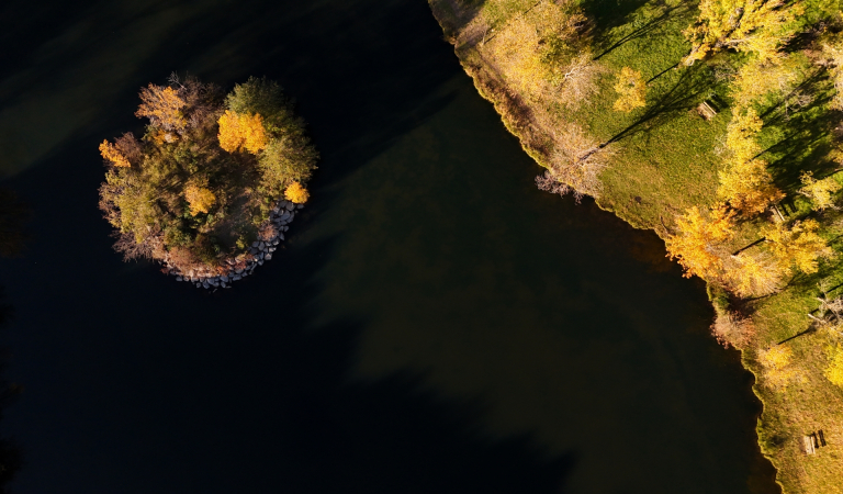 Domaine des Olivettes