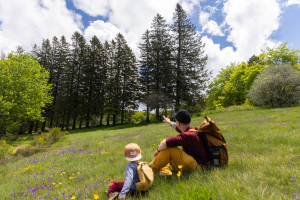 Un papa et son fils assis dans une prairie