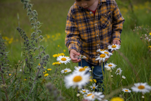 Petit garçon qui regarde des fleurs