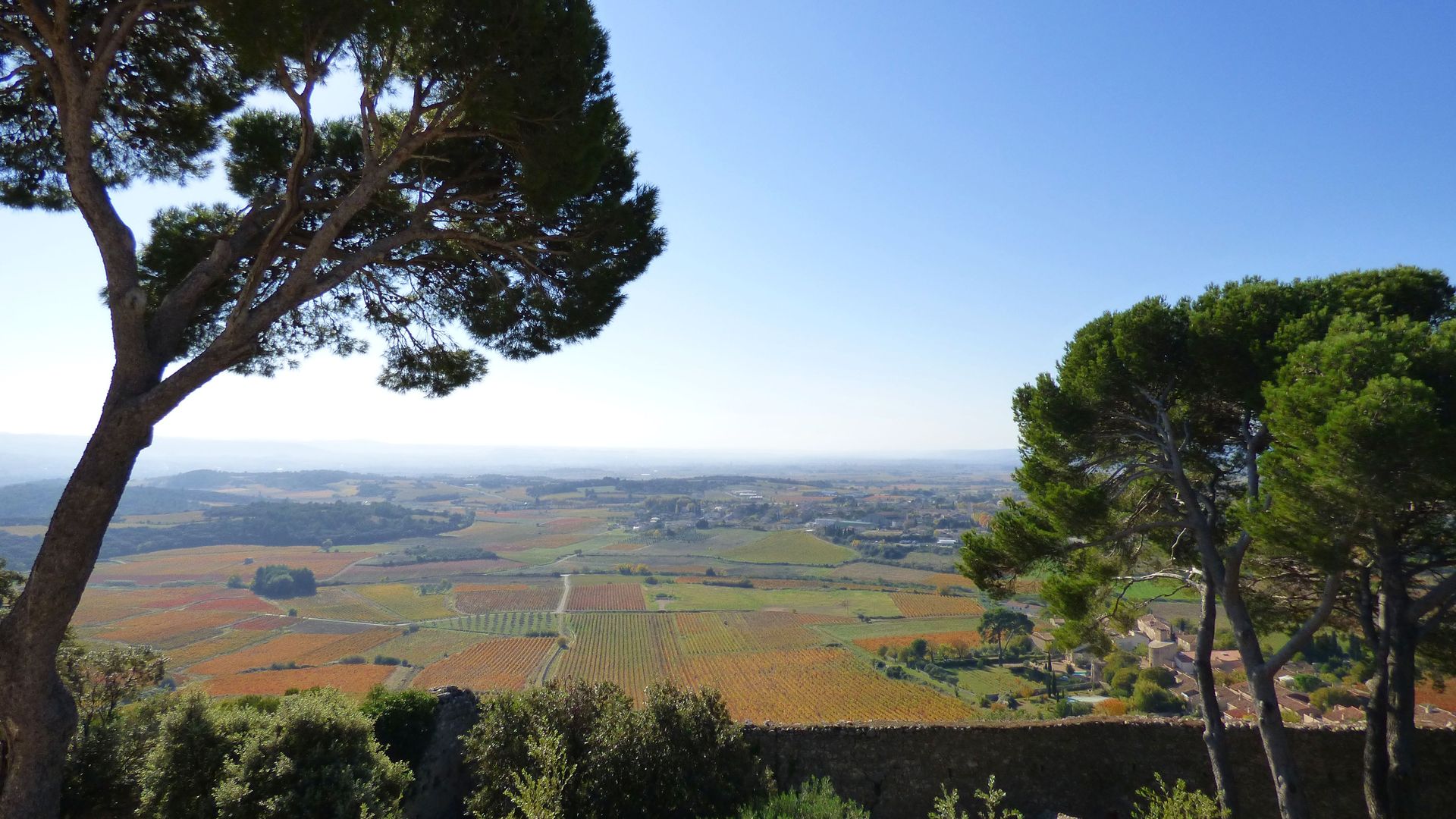Vue depuis le Castellas de Montpeyroux © Eric Brendle Vue sur la plaine viticole de la Vallée de l'Hérault depuis le Castellas de Montpeyroux