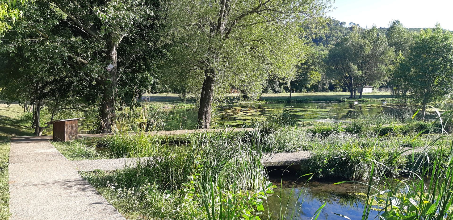 Base de loisirs Prades Lunas © Murielle Sanz Cheminement du sentier d'interprétation qui se situe à la base de loisir de la Prade. Au bord de l'eau où un cygne nage au milieu des arbres qui bordent le lac.