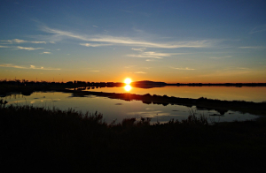 Coucher de soleil sur l'étang d'Ingril à Frontignan-Plage