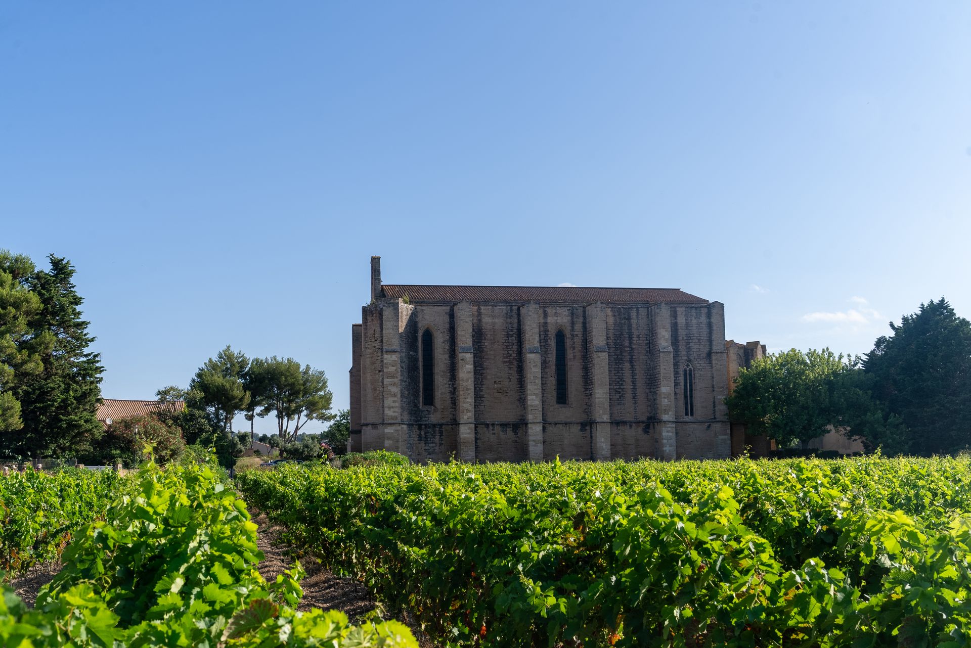 Eglise Sainte-Cécile à Loupian