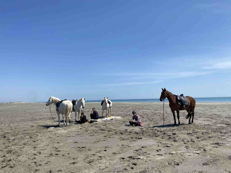 Balade à cheval sur la plage à Vendres et Sérignan avec la Cavale