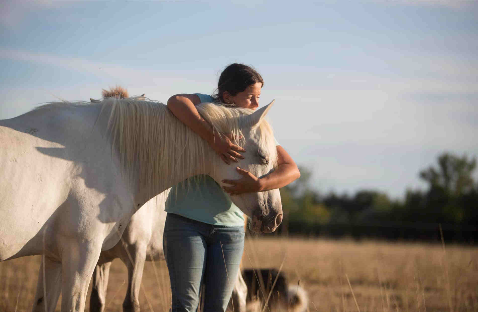 © La cavale Calin à un cheval