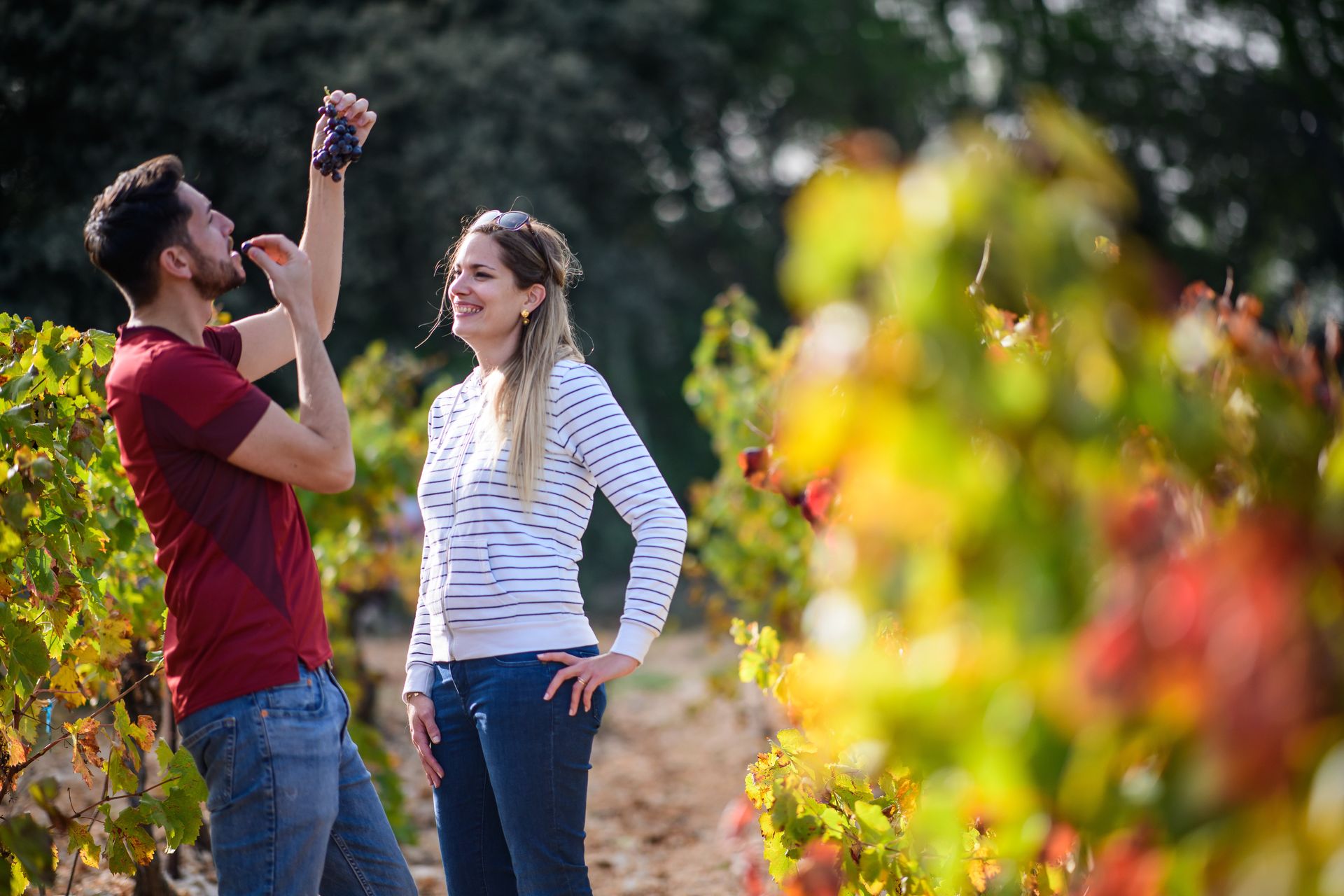 © Régis Domergue Jeune couple en balade dans les vignes à l'automne qui déguste du raisin