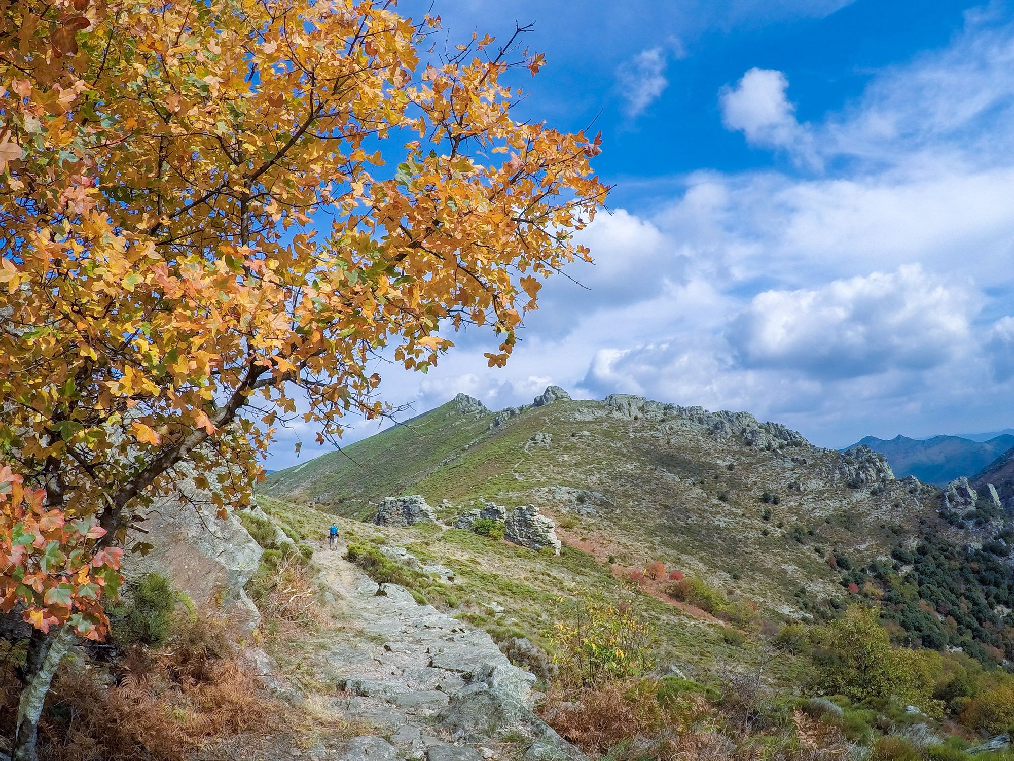 Le portail de Roquandouire © E.Brendle Le portail de Roquandouire © E.Brendle