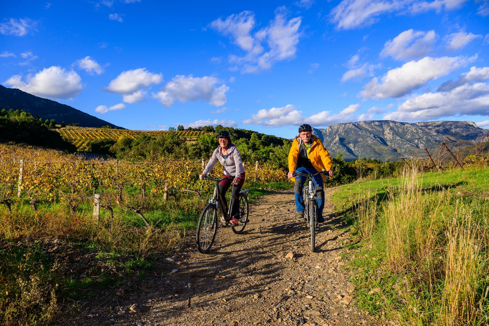 Couple à vélo au milieu des vignes dans le Haut-Languedoc