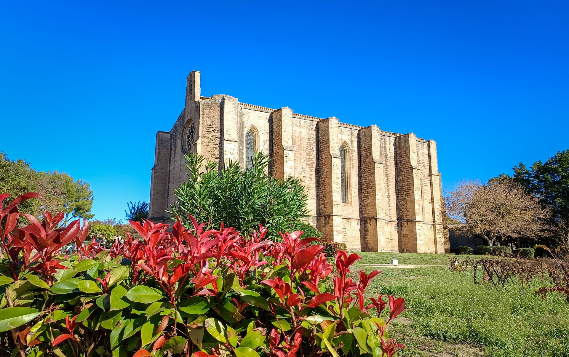 Eglise fortifiée Sainte-Cécile à Loupian en Archipel de Thau