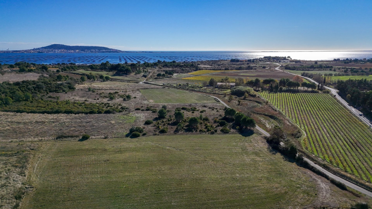 Vue sur l'étang de Thau et ses parcs à huîtres, Sète et le mont Saint-Clair, le vignoble de l'Archipel de Thau