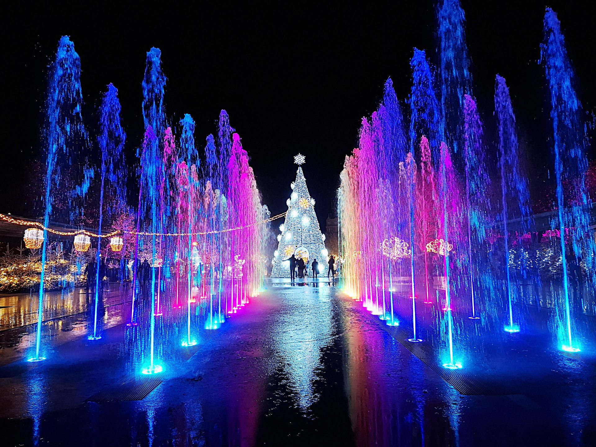 Jets d'eau de couleurs rose, vert, bleu avec en fond un sapin lumineux couleurs argent qui se reflète sur le sol