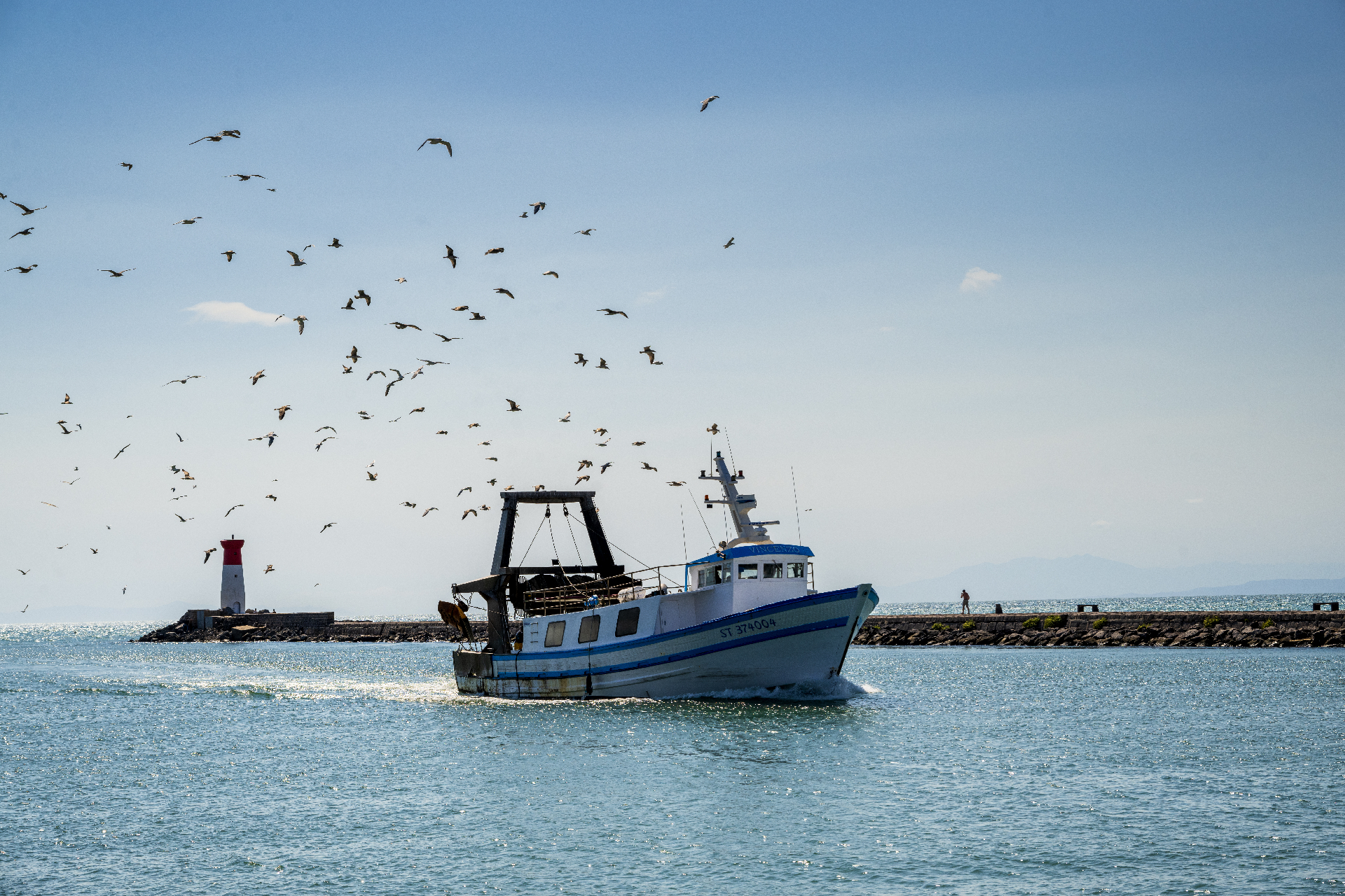 Chalutier qui rentre au port