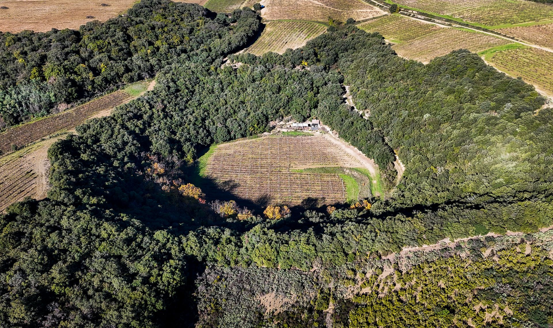 Vue aérienne du cratère formé par une météorite tombée il y a plus de 10.000 ans à Cabrerolles dans les avant-monts