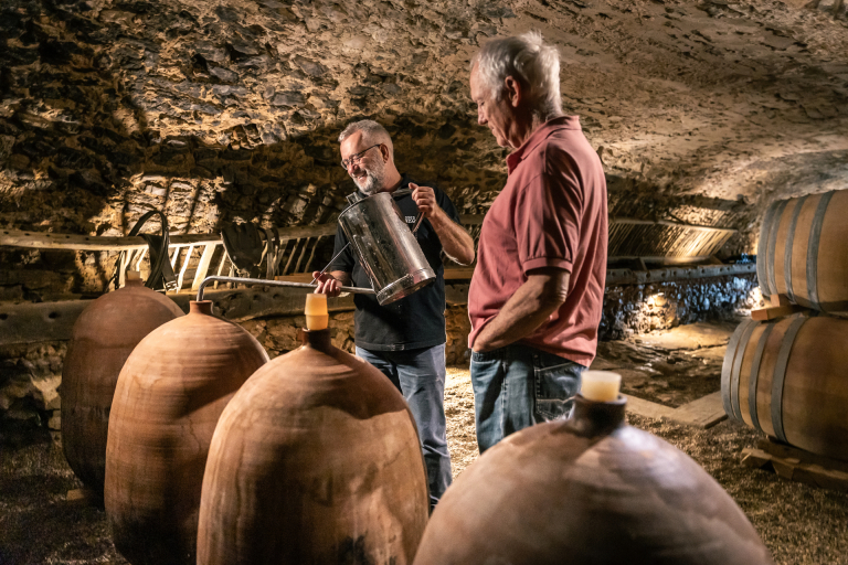 Vigneron au domaine de Ferrussac