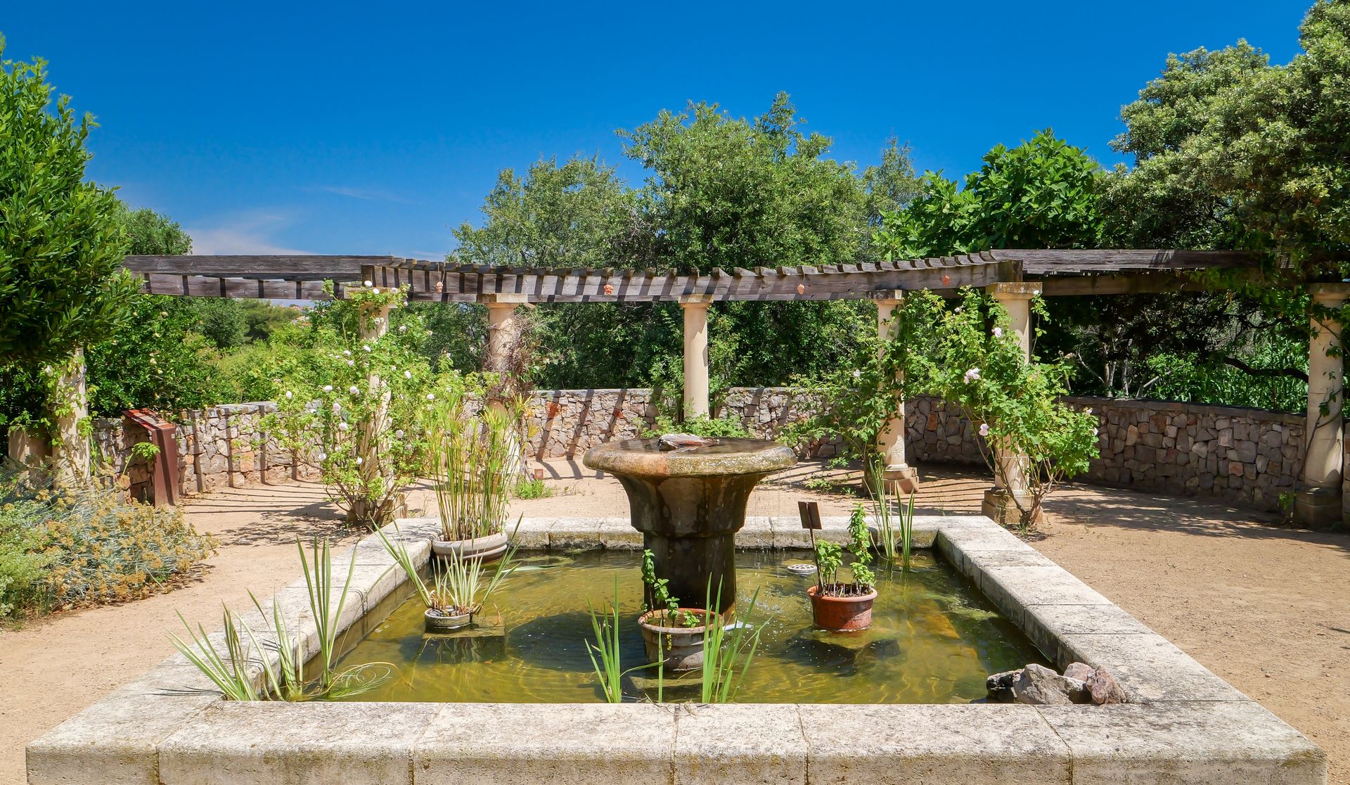 Jardin Antique Méditérraneen à Balaruc-Les-Bains face à l'étang de Thau