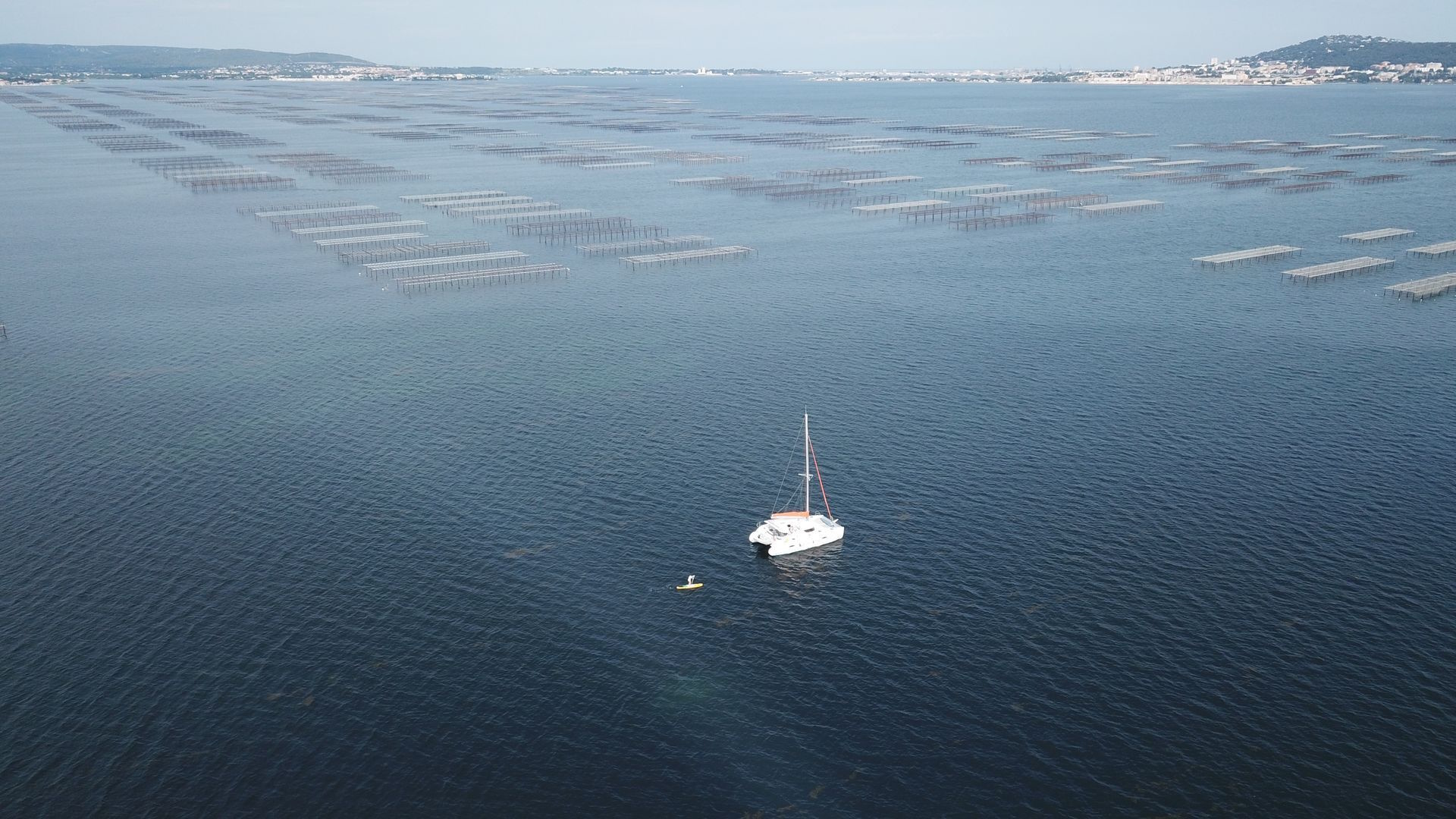 Catamaran L'Air du Large en navigation sur l'étang de Thau près des parcs à huîtres