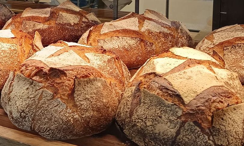 Miche de pain provenant du fournil L'Arbre à pains situé à Faugères dans les avant-monts