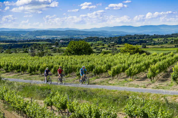 Copains en vélo vers Montagnac