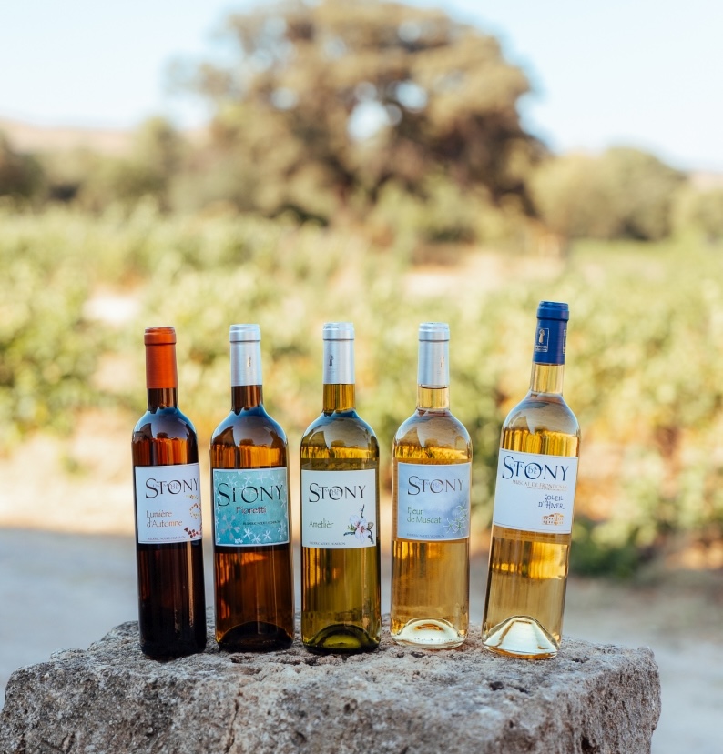 Le château de Stony L’élégance d’un domaine viticole familial depuis 1860