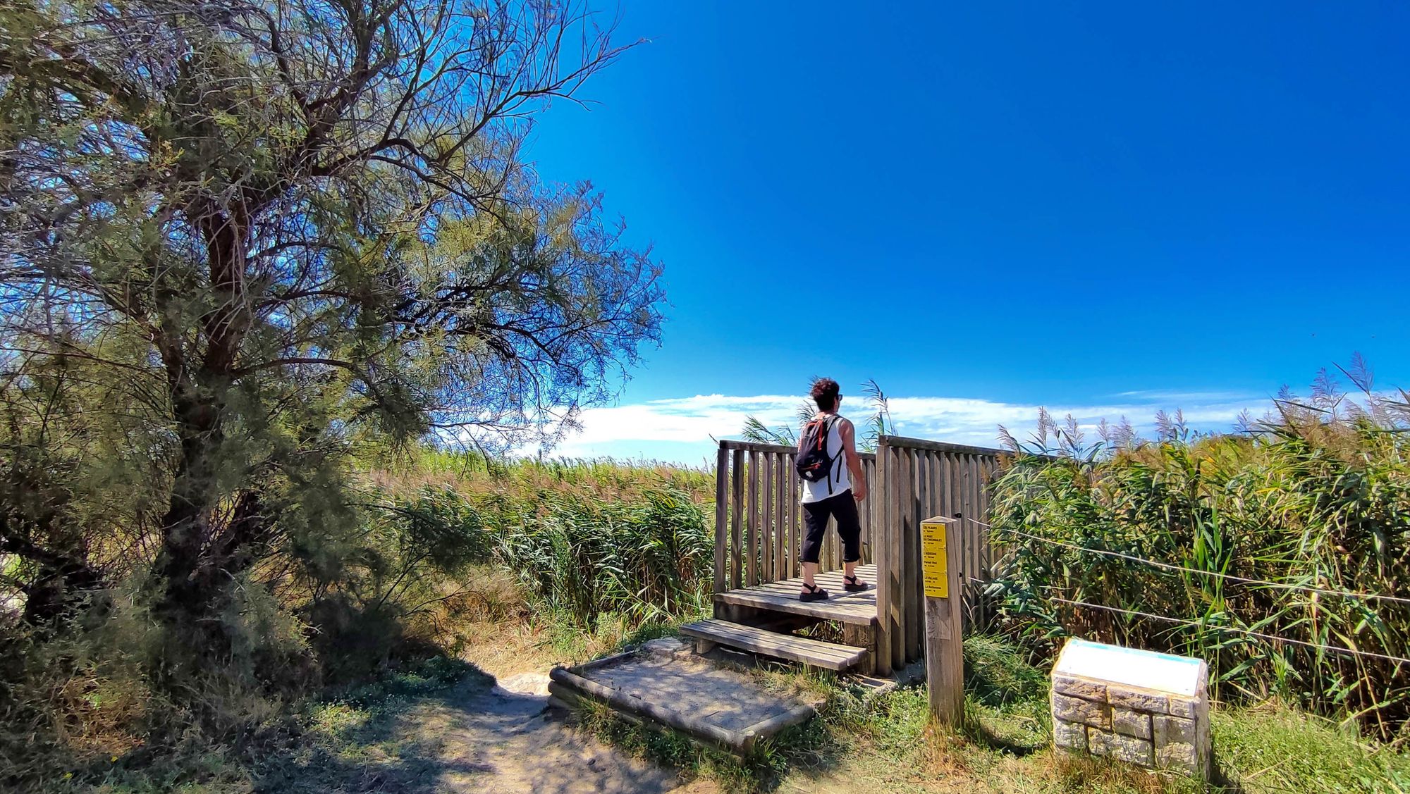 Temple de Venus à Vendres © E.Brendle