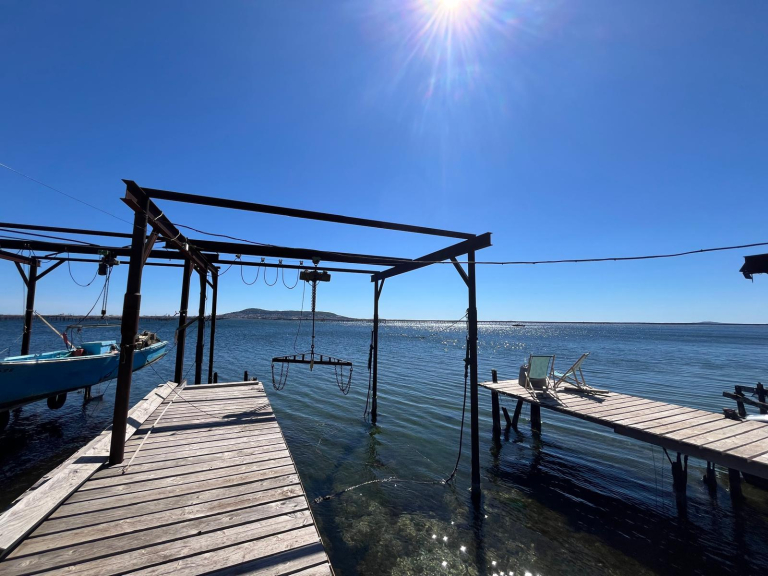 Avec Terra Immers' embarquez pour des journées en immersion dans la culture et les savoir-faire locaux, au cœur des activités de la région.