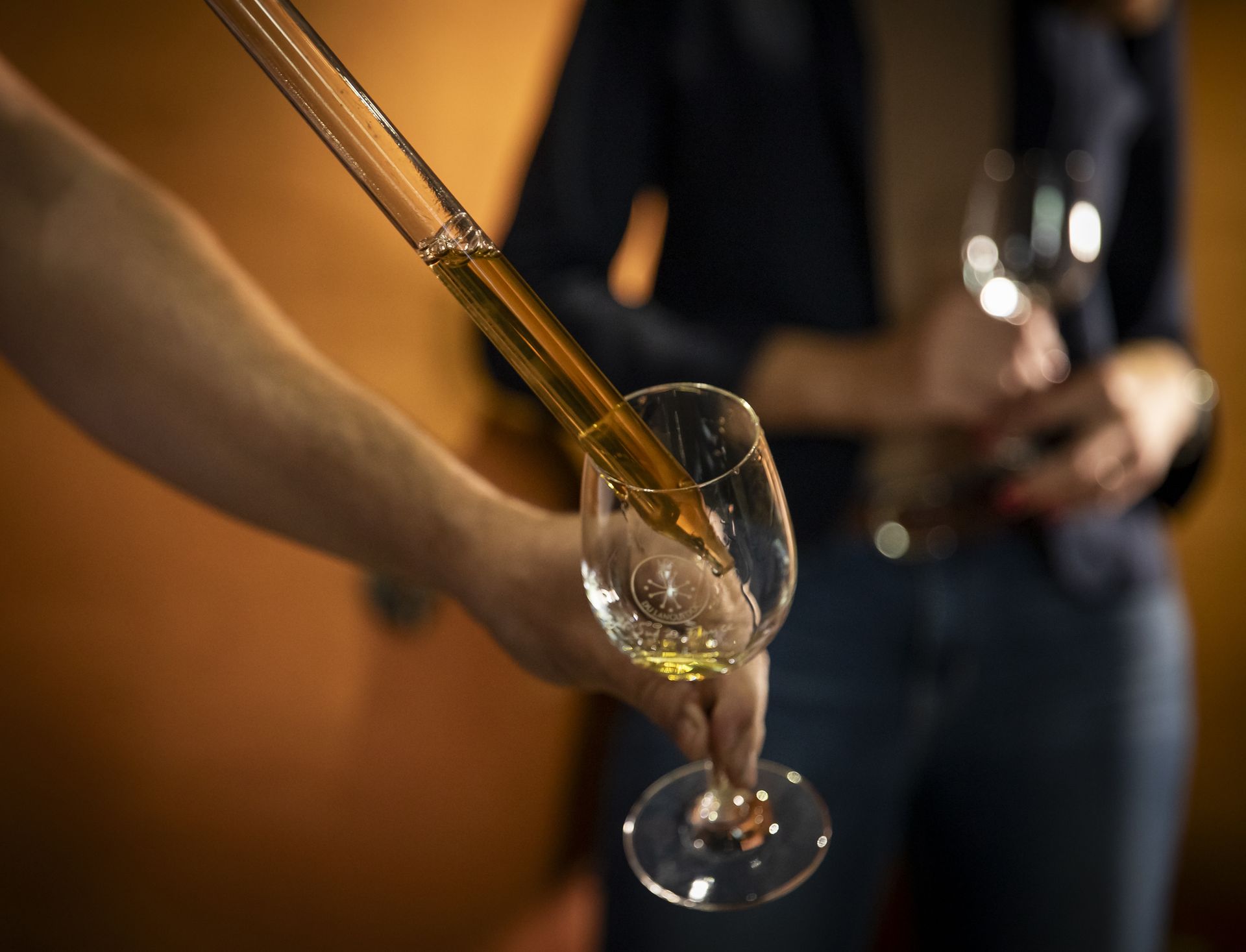 Un vigneron verse du vin blanc dans un verre à l'aide d'une pipette droite en verre