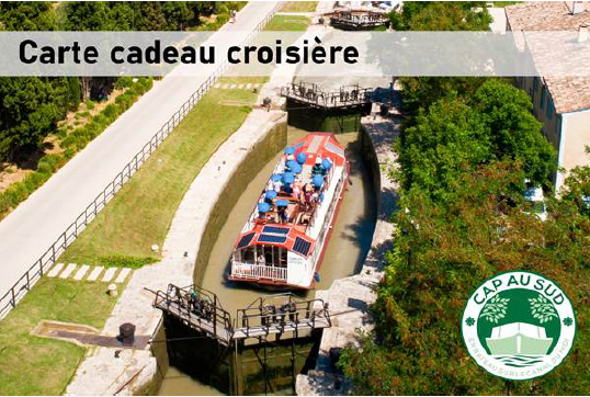 Croisière sur le canal du Midi. Passage des écluses et du pont canal.