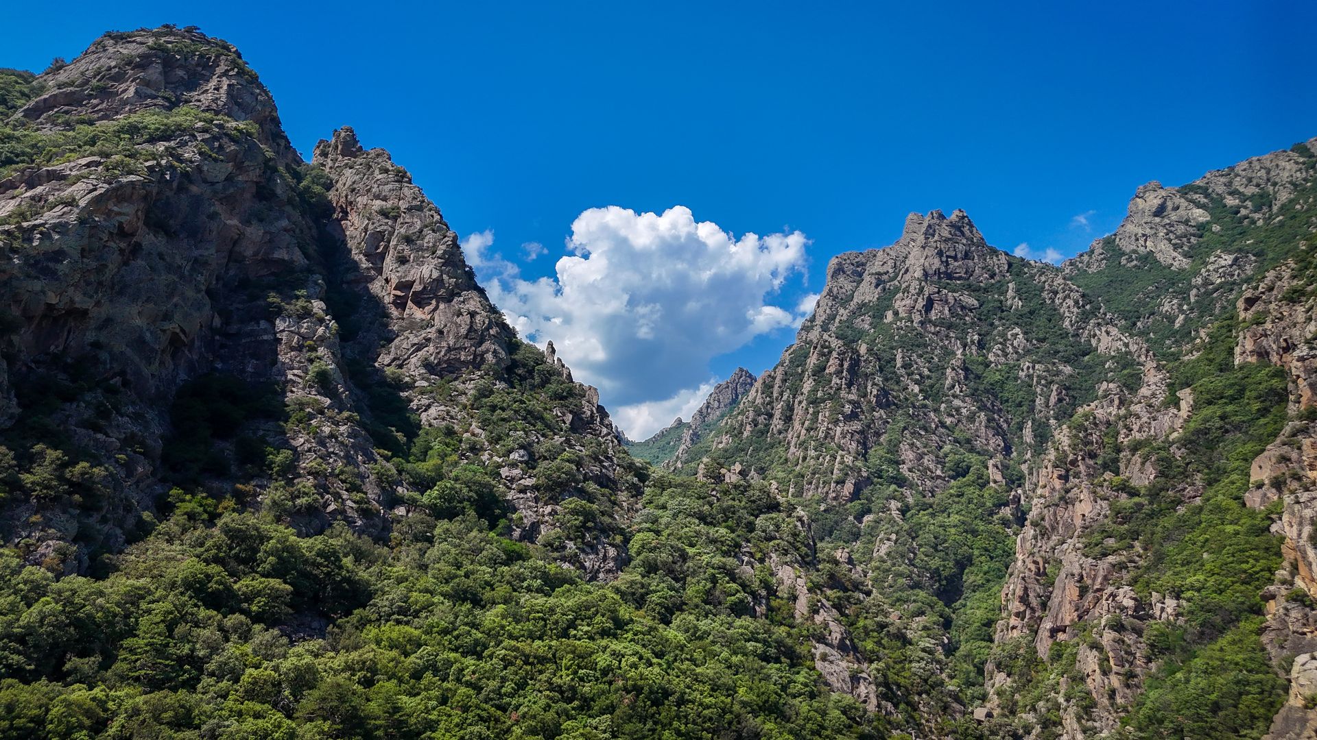 Les montagnes du Caroux dans le Parc naturel régional du Haut-Languedoc